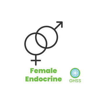 Female Endocrine Panel